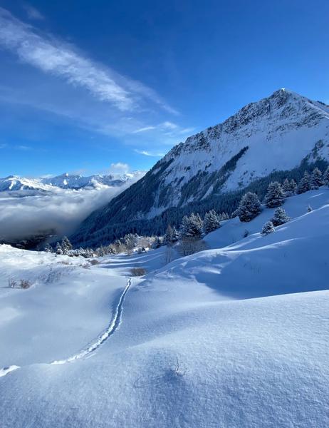 Image d781a396b672fdb6ac3