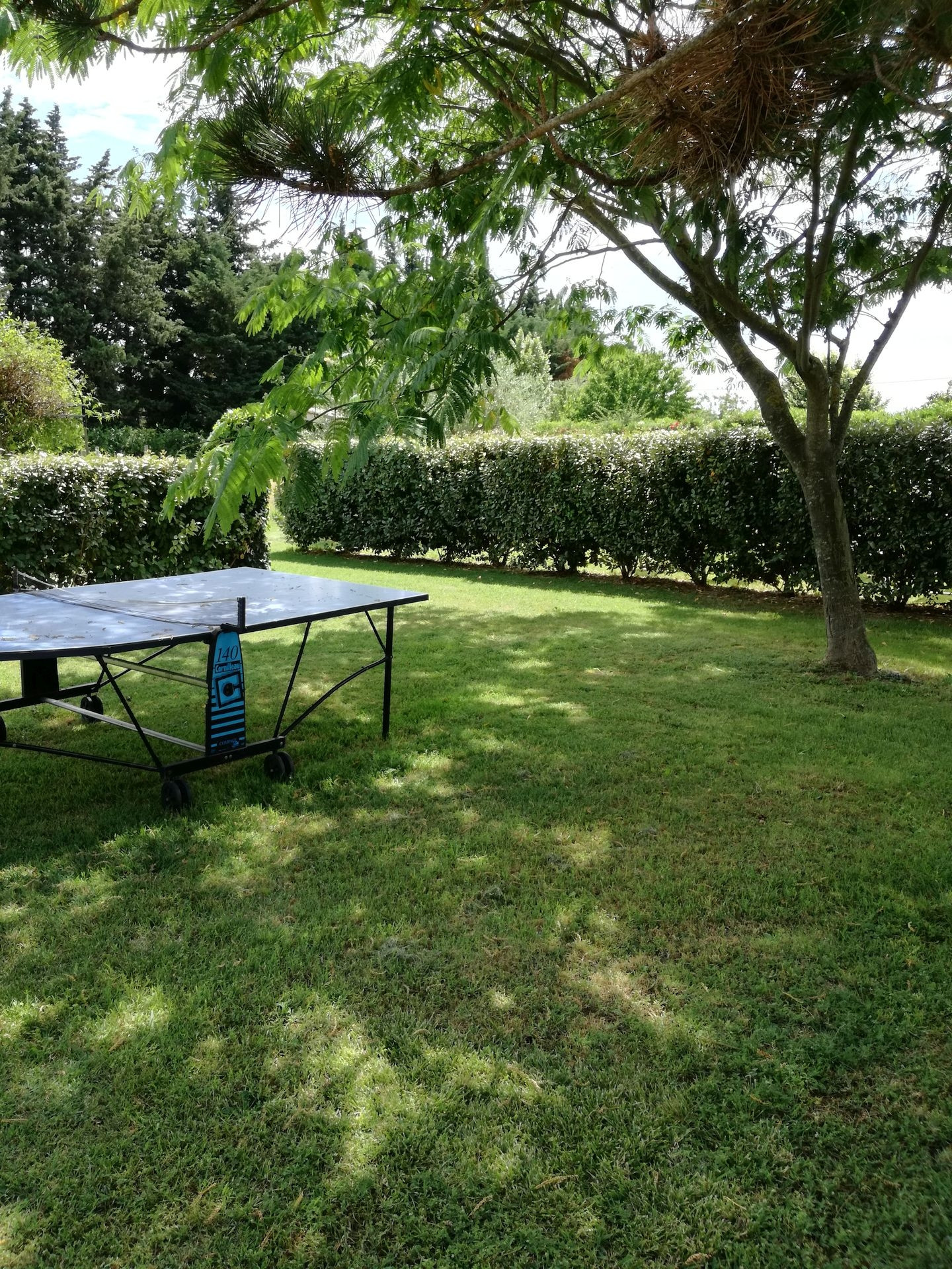 Le Lilou, Châteaurenard - photo 5