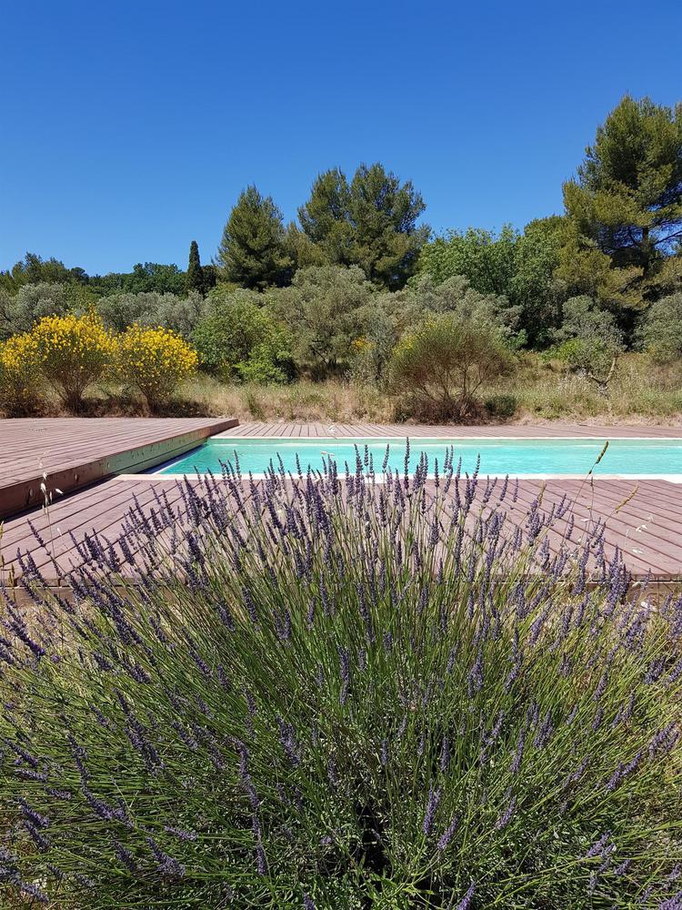 La Coccinelle d'Emilie, Noves - photo 41