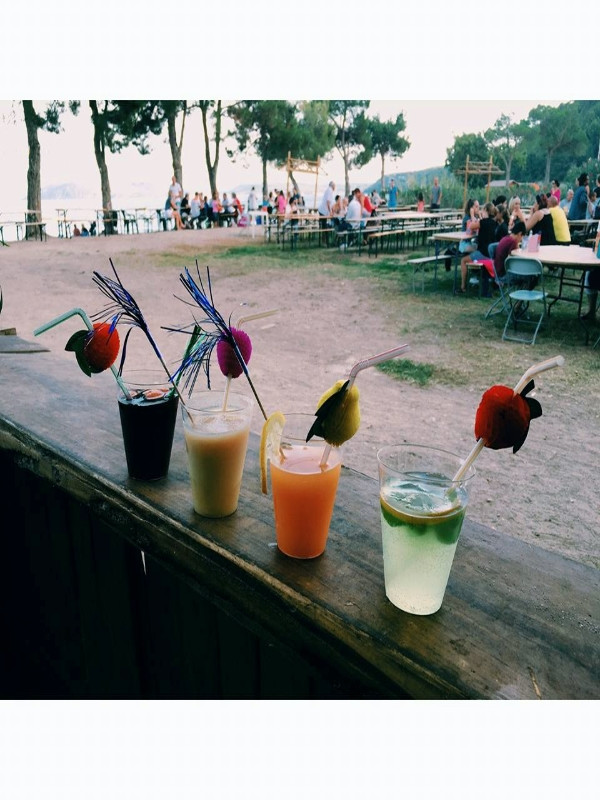Guinguette du Pointu — photo 3
