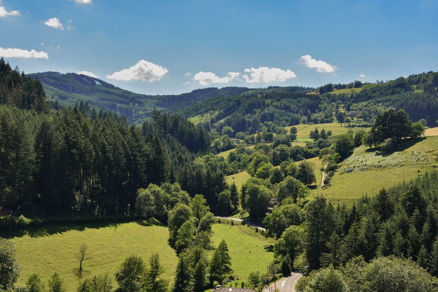 Aménagement des forêts : Histoire du Massif du Beaujolais