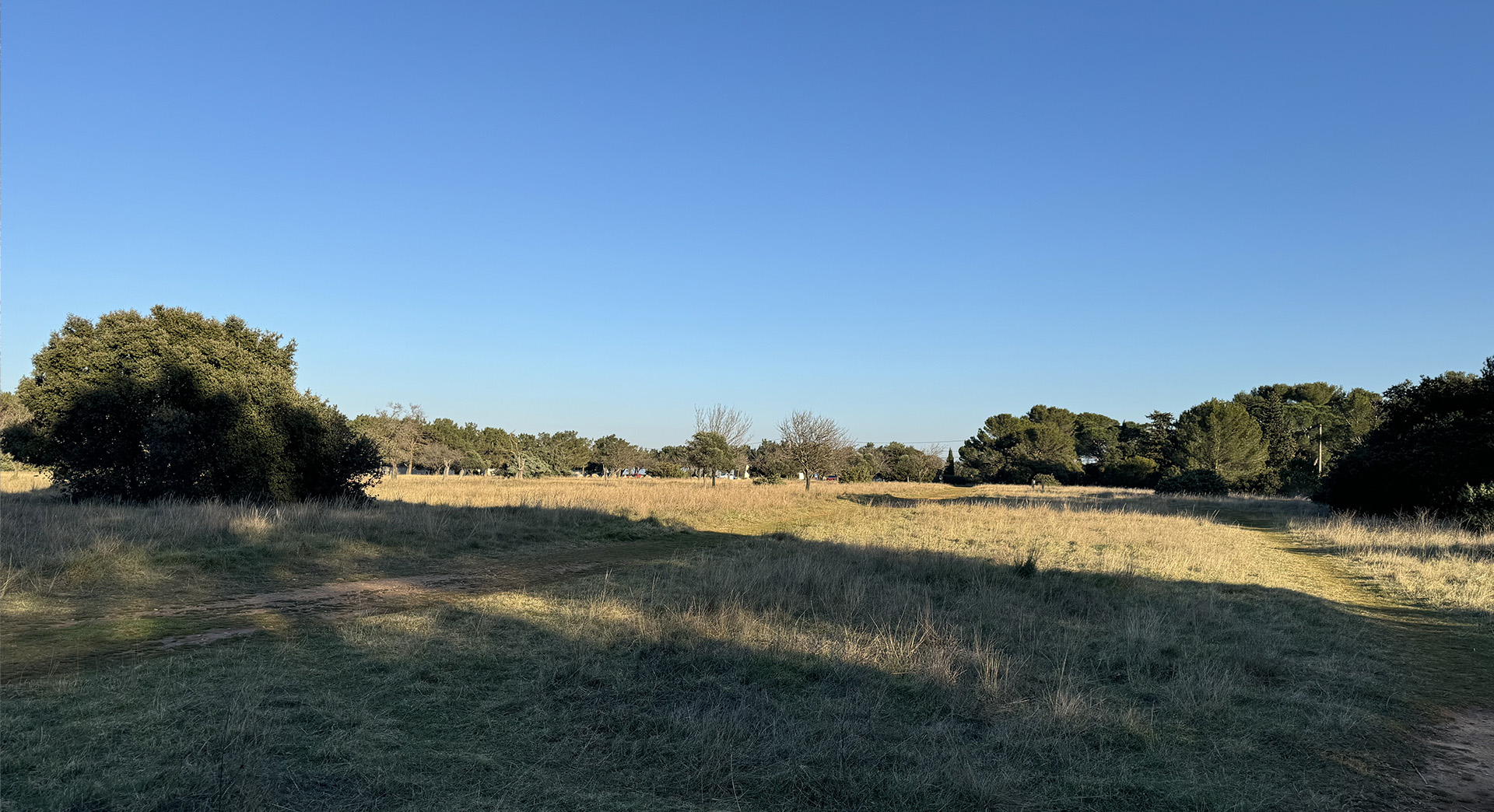 Plateau de la crau