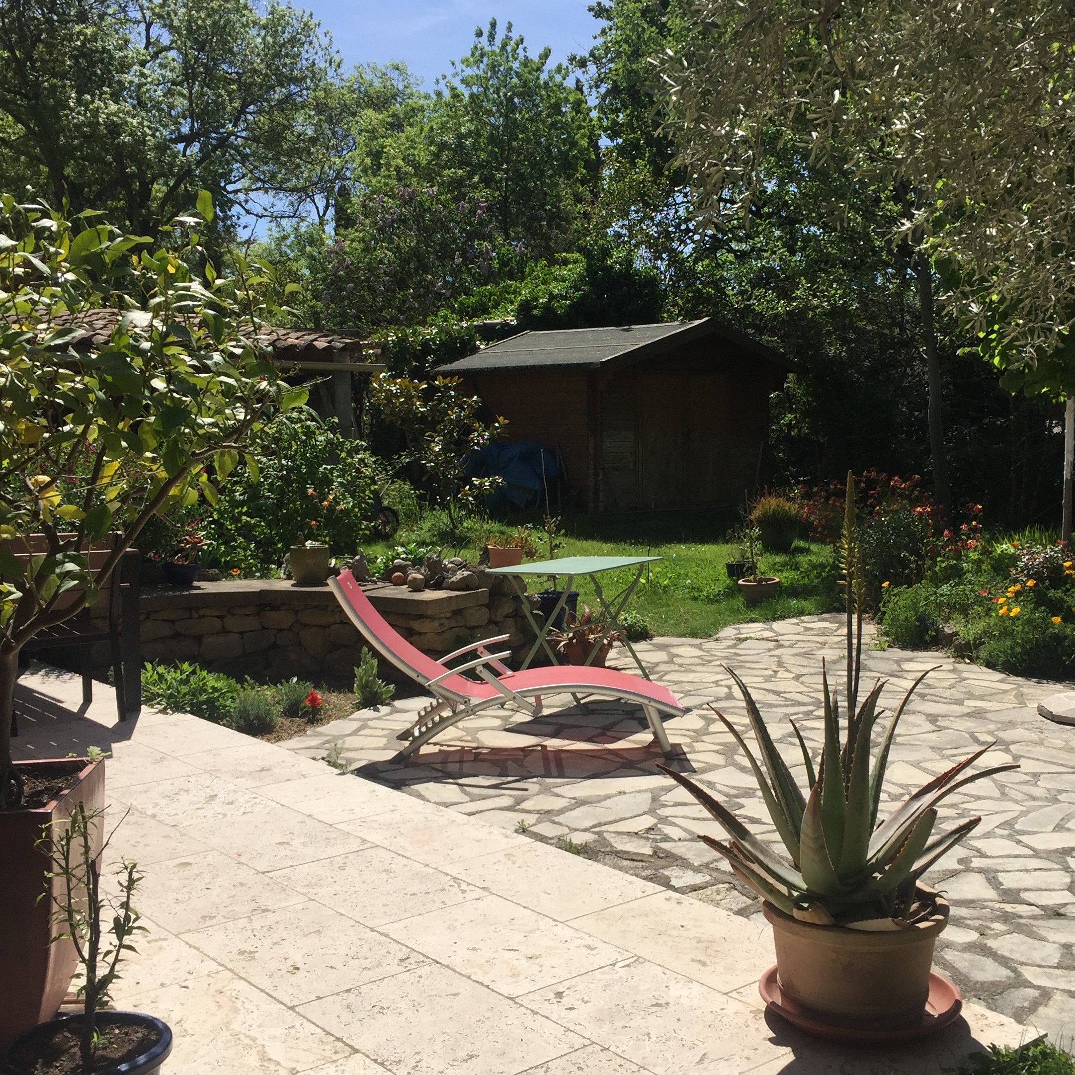 Ilot de verdure en bord de rivière