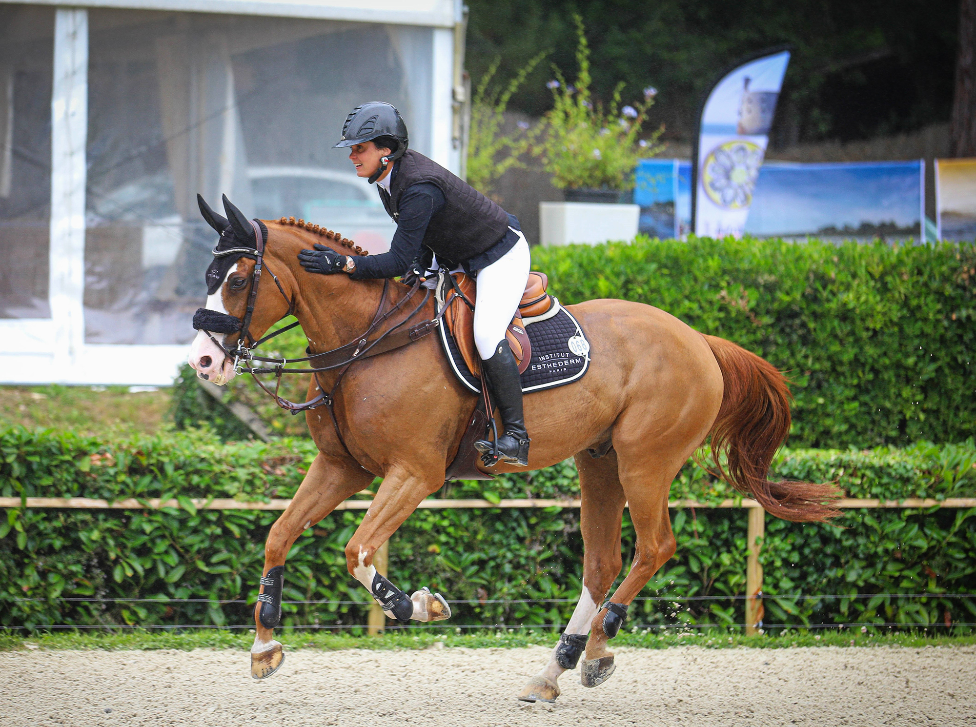 Jumping de Royan - CSI ***