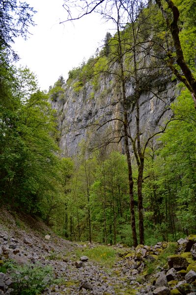 Gorges du Cé