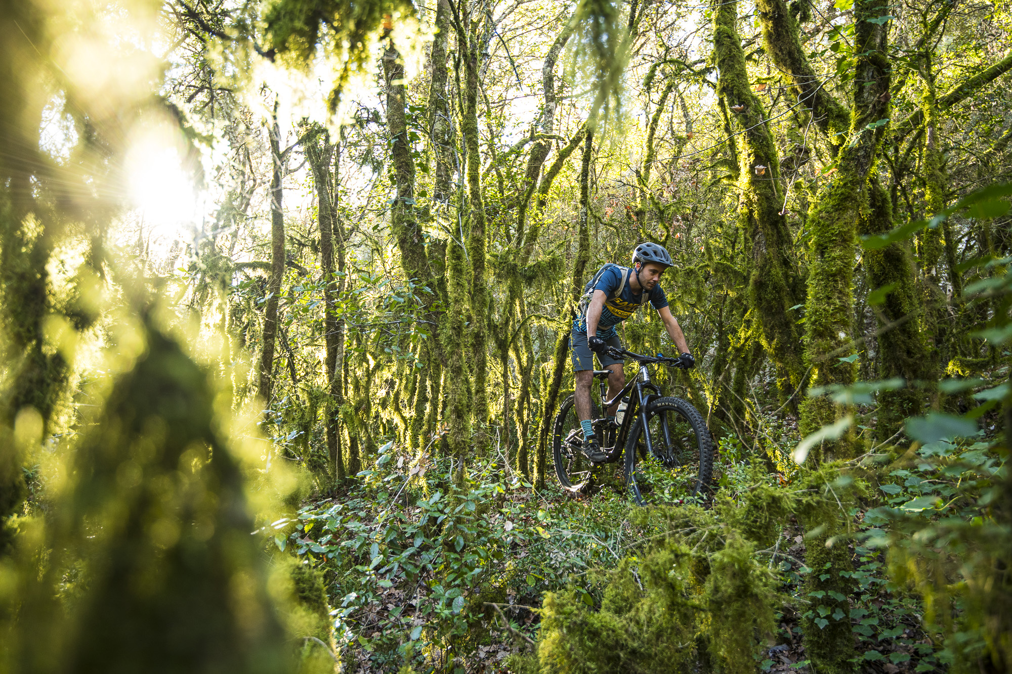 5f81744874dd67913a45