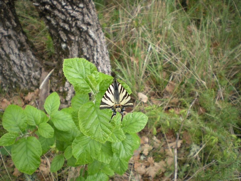 Rando Panorama à 360°