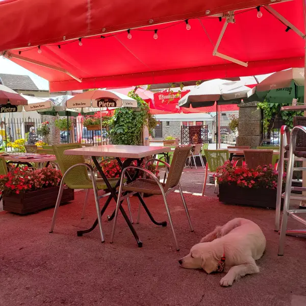 Terrasse restaurant Selonnet
