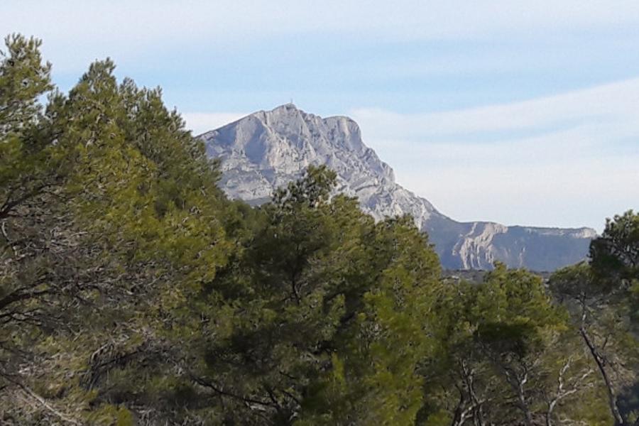 Les Vignobles au Pays de Cézanne