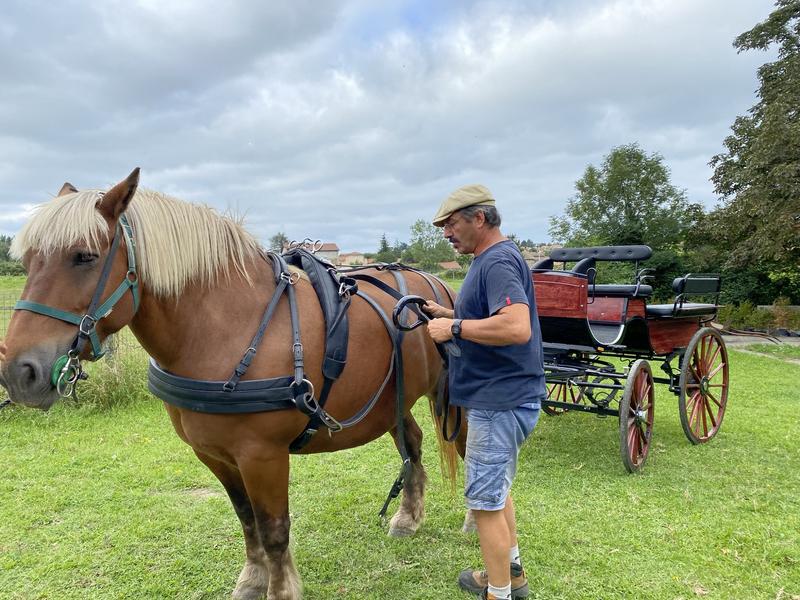 Têtes Hautes_STLAURENTD'AGNY