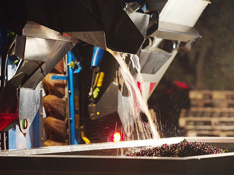 Domaine Sainte-Lucie - photo 3