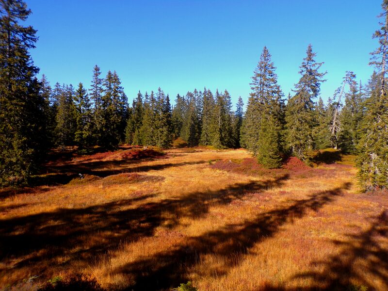 Visite guidée au crépuscule