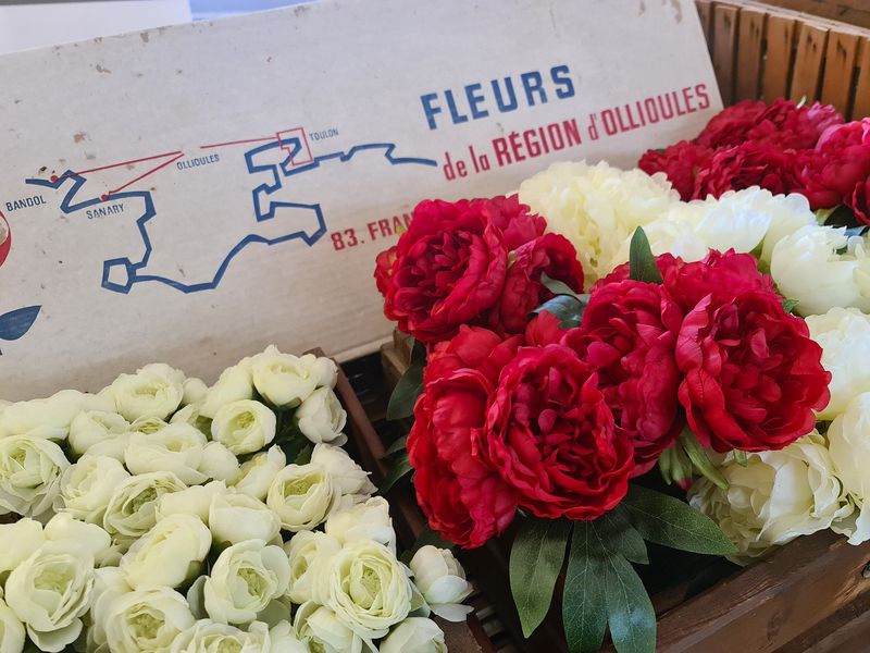 Musée de la Fleur Ollioules