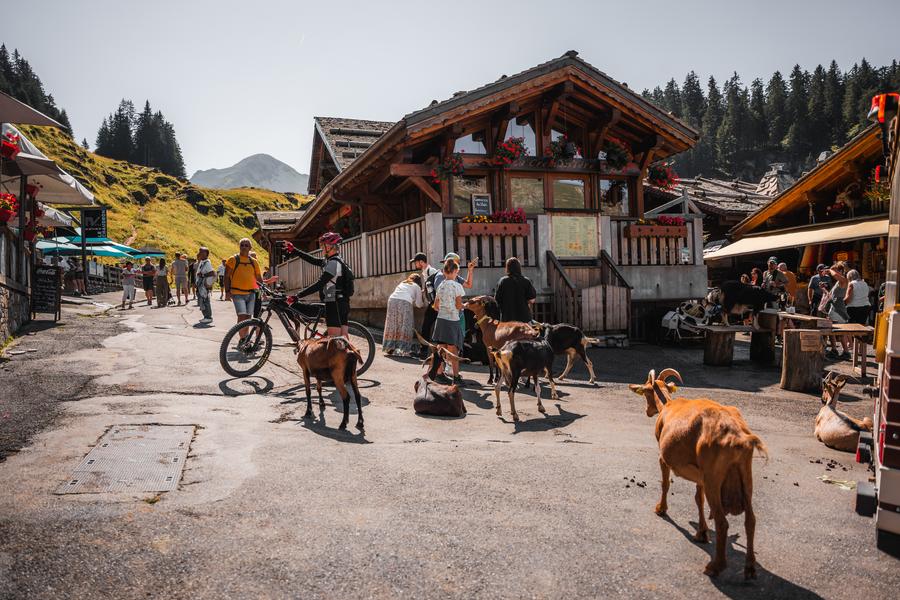 Village des chèvres_Avoriaz