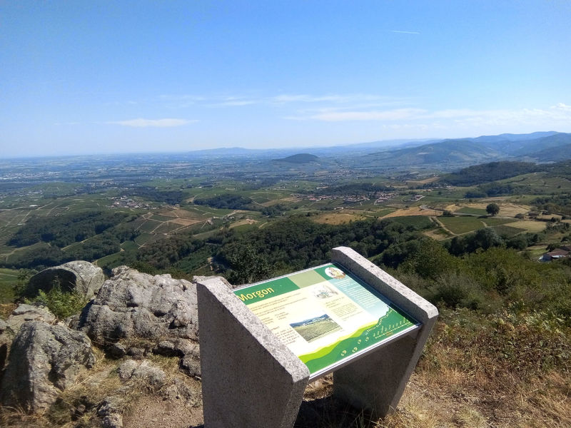 Sentier découverte de la Terrasse de Chiroubles