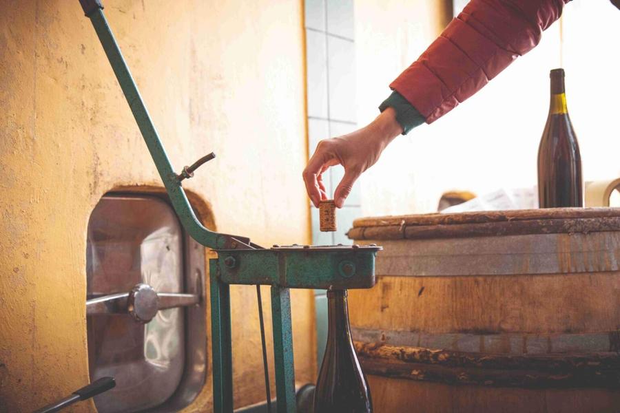 De la Vigne à la Bouteille !_Chiroubles