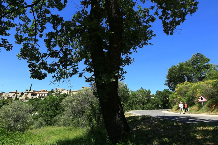 Grambois: Le Chemin de Valbonette