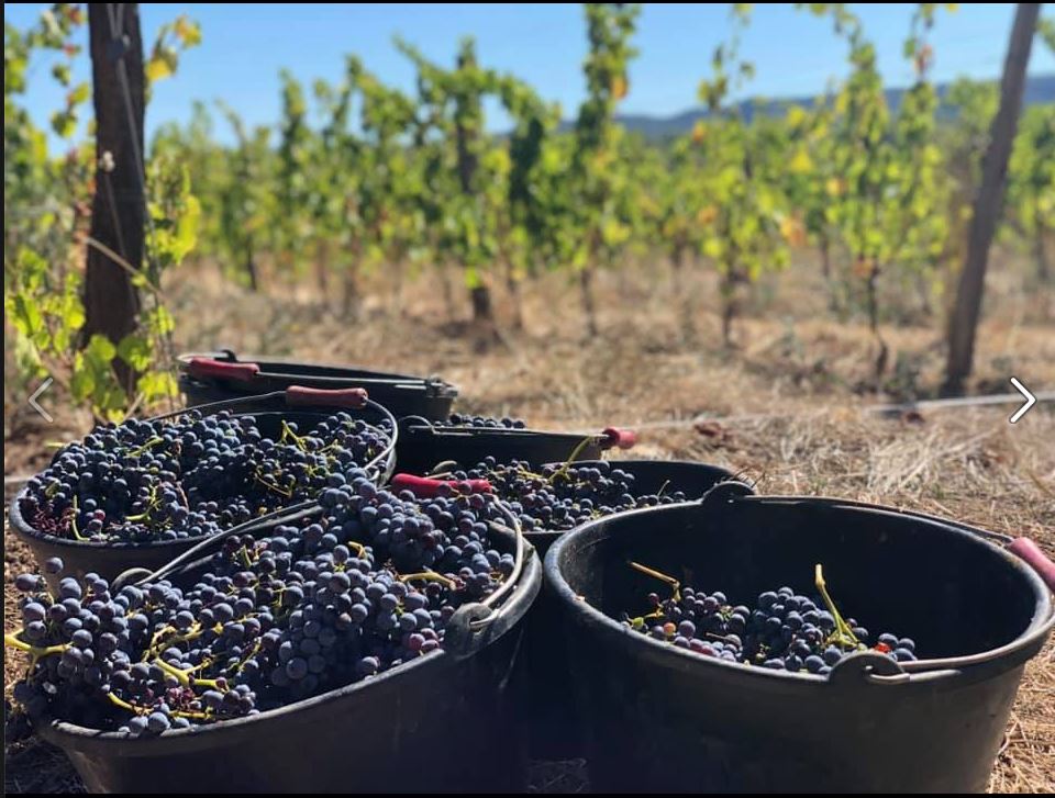 L'Abri restaurant & chai urbain - photo 3