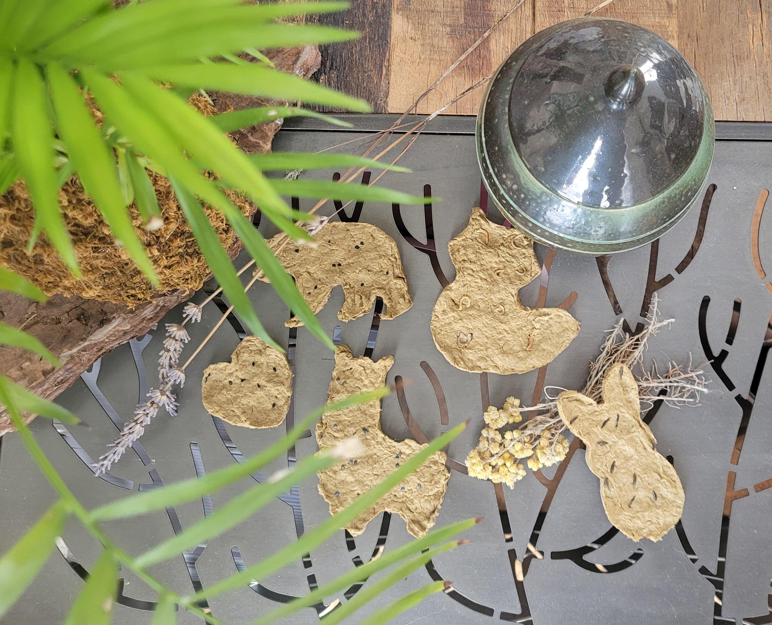 Atelier fabriquer une carte graines à planter - Terre d'éveils