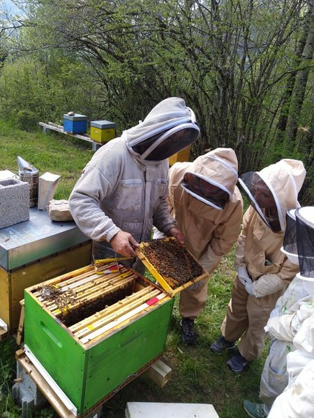 Entremonts et Abeilles - St Pierre d'Entremont