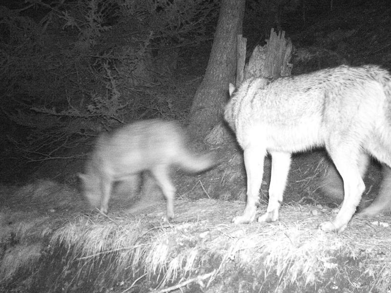 Image PC-JYP - I__00168