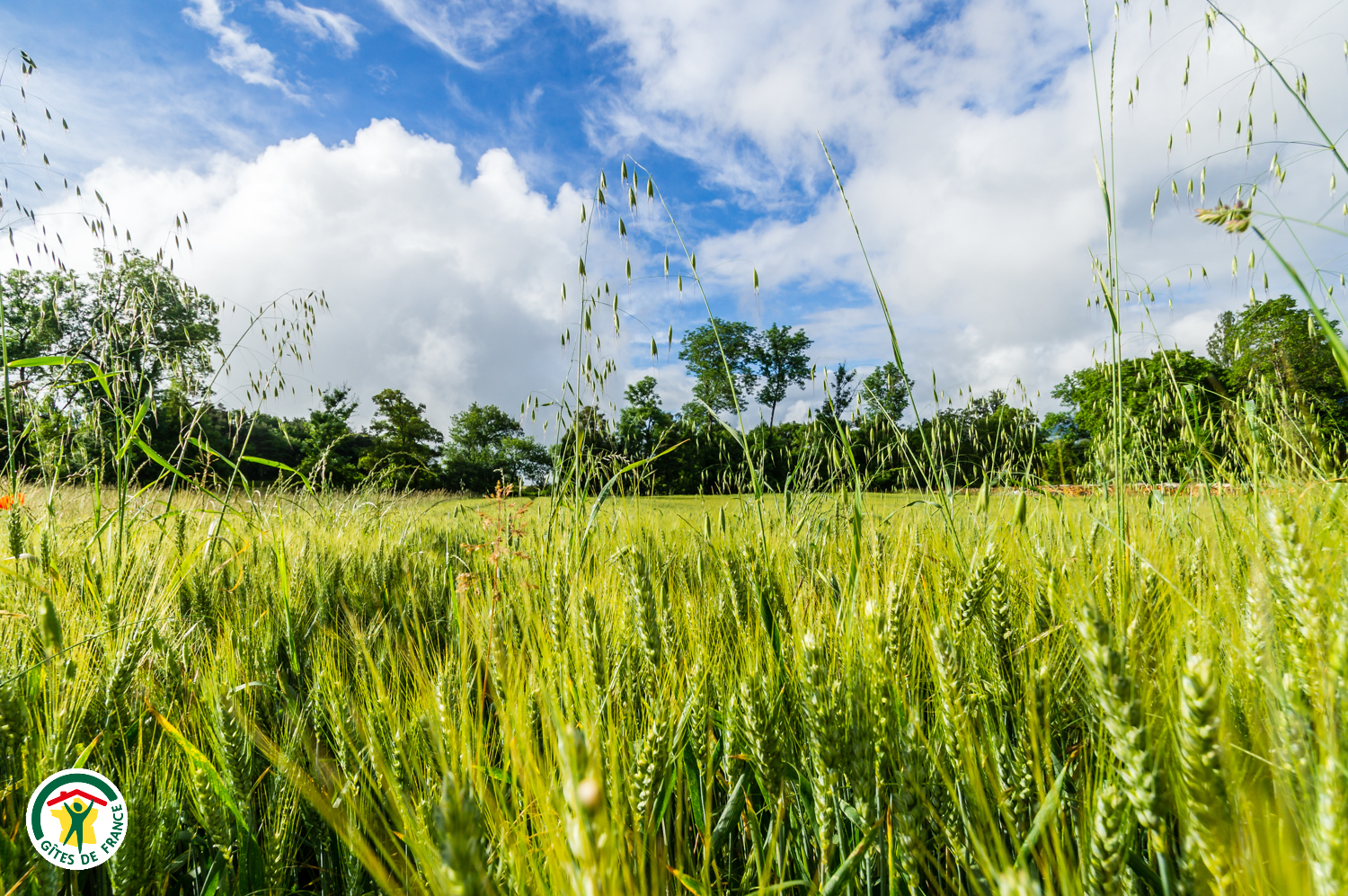 Les environs du gîte