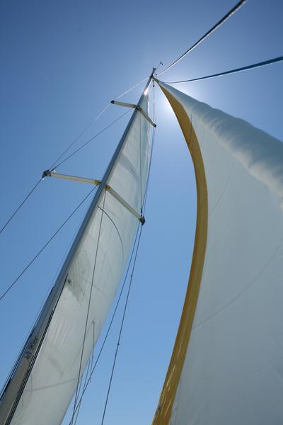 Les voiles d'un voilier vues de dessous.