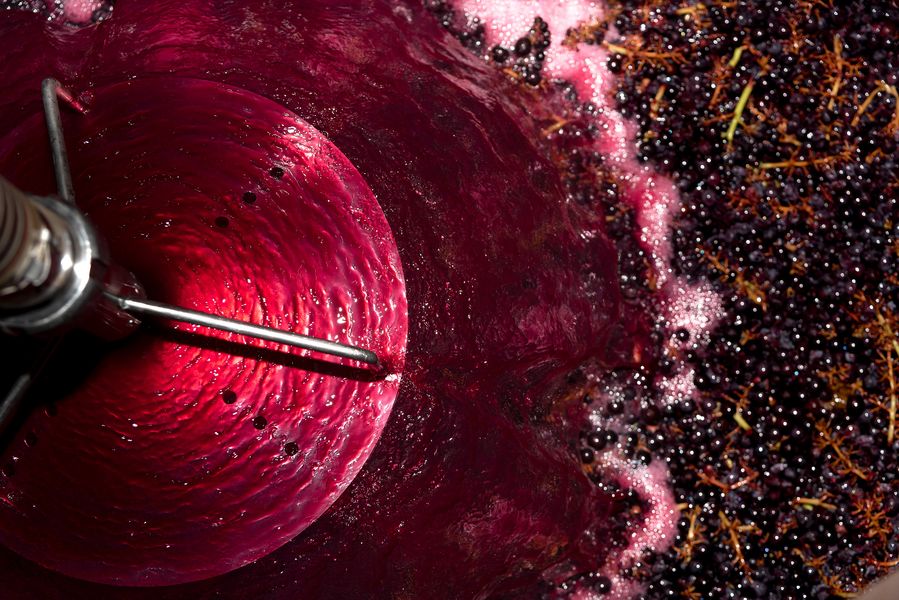 Domaine de la Voute des Crozes