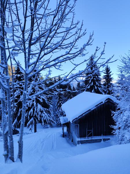 Boucle de Cornillon - sentier raquettes_Cordon