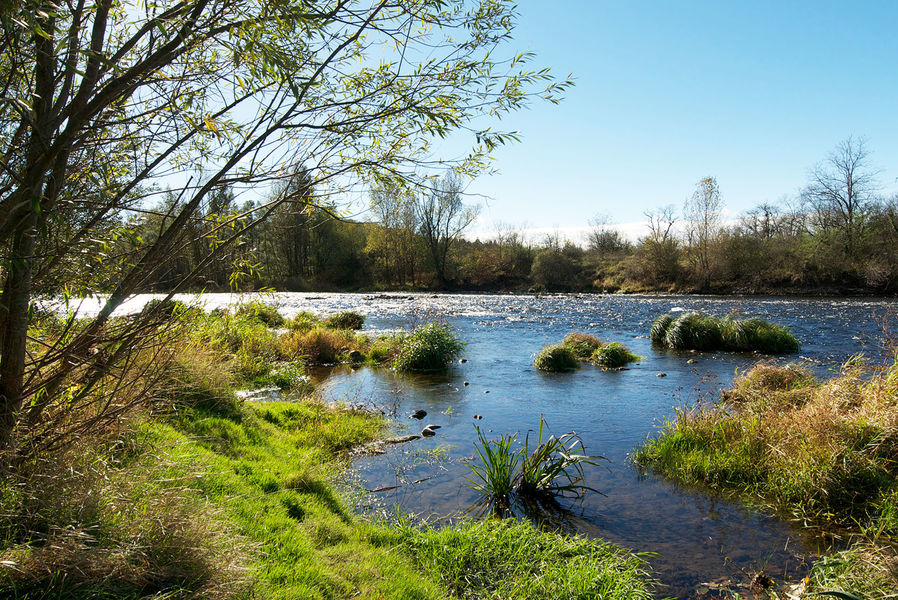 Rives de l'Allier
