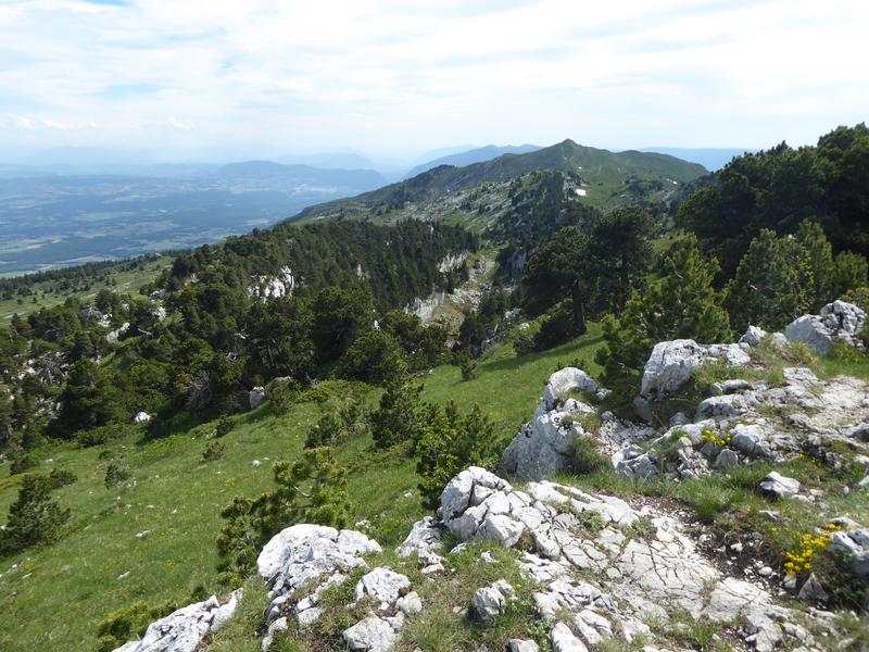 Vue du Crêt de la Neige