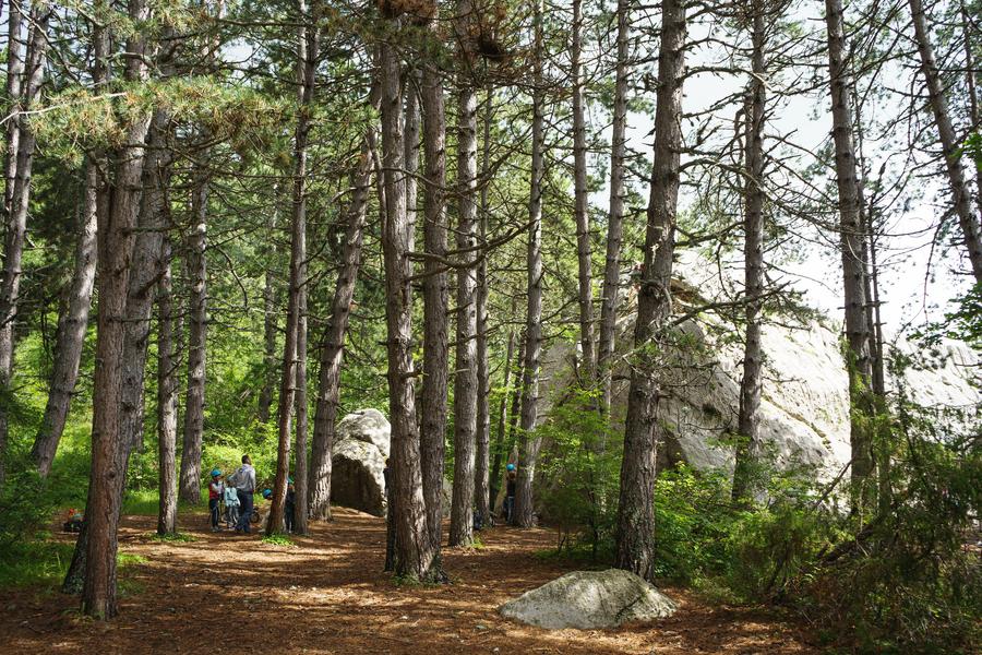 Sentier Patrimonial Forestier de Céüse