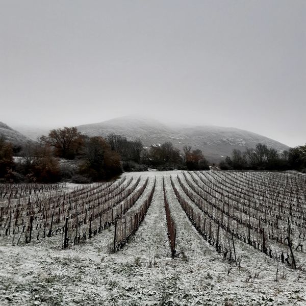 Domaine d'Ici Là Domaine d'Ici Là
