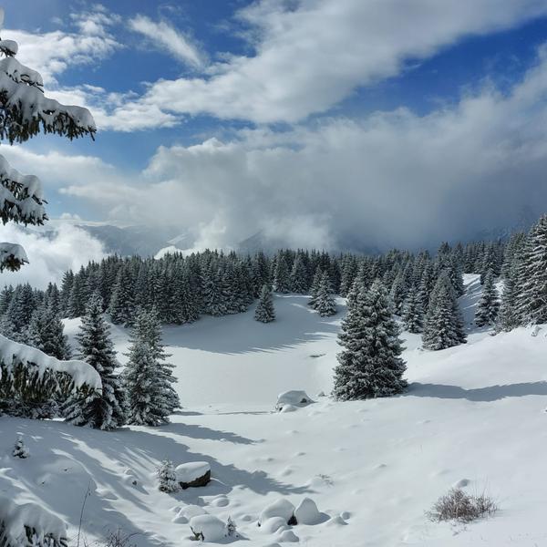 Refuge du Lac de la Grande Lechere_Saint François Longchamp