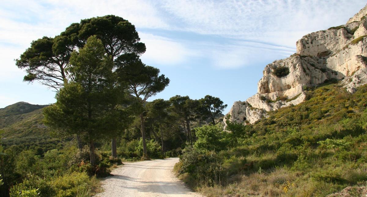 La Farigoule, Plan-d'Orgon - photo 39