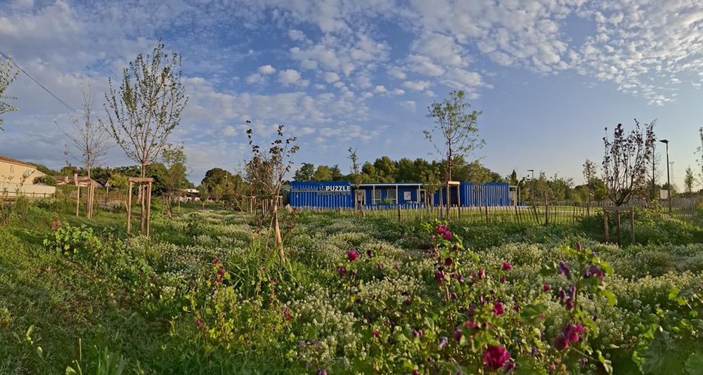 Visite guidée de la forêt enchantée_Avignon