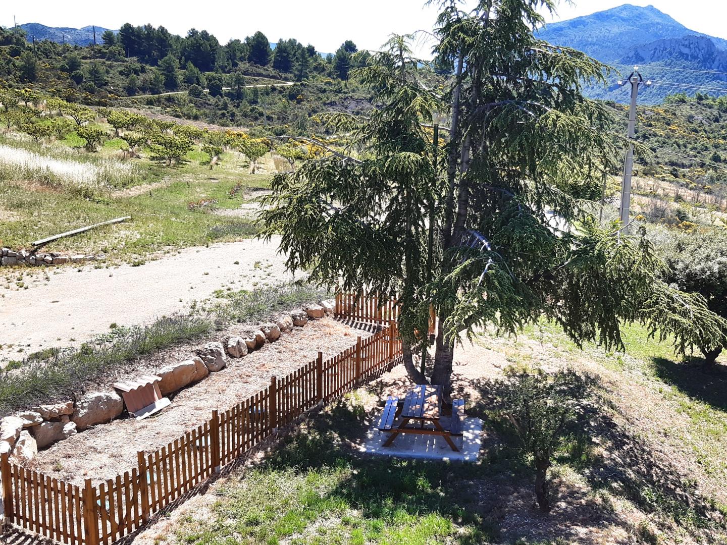 Le jardin