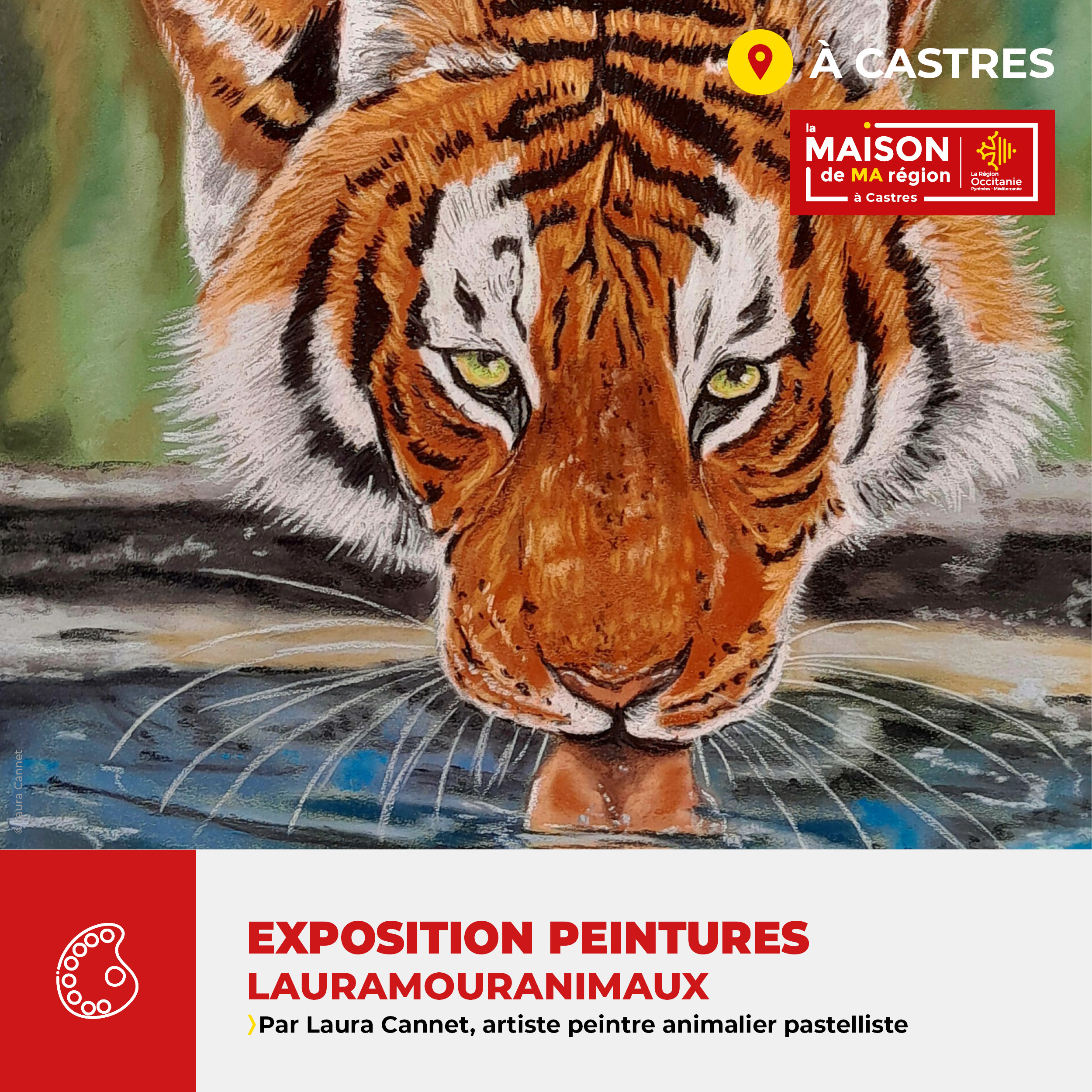 MMR_CASTRES_EXPO-LAURAMOURANIMAUX_POST