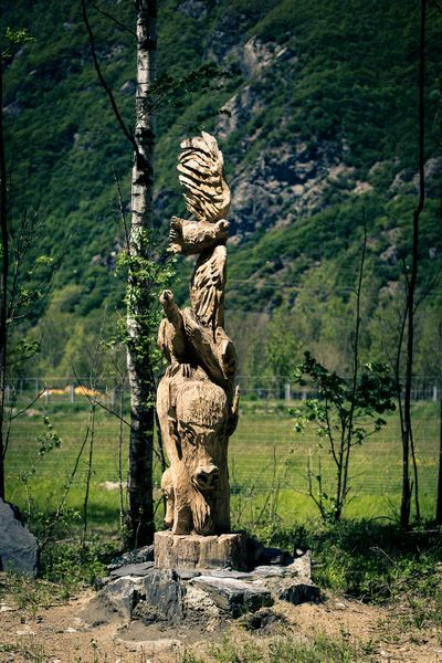 Visite de la ferme des bisons