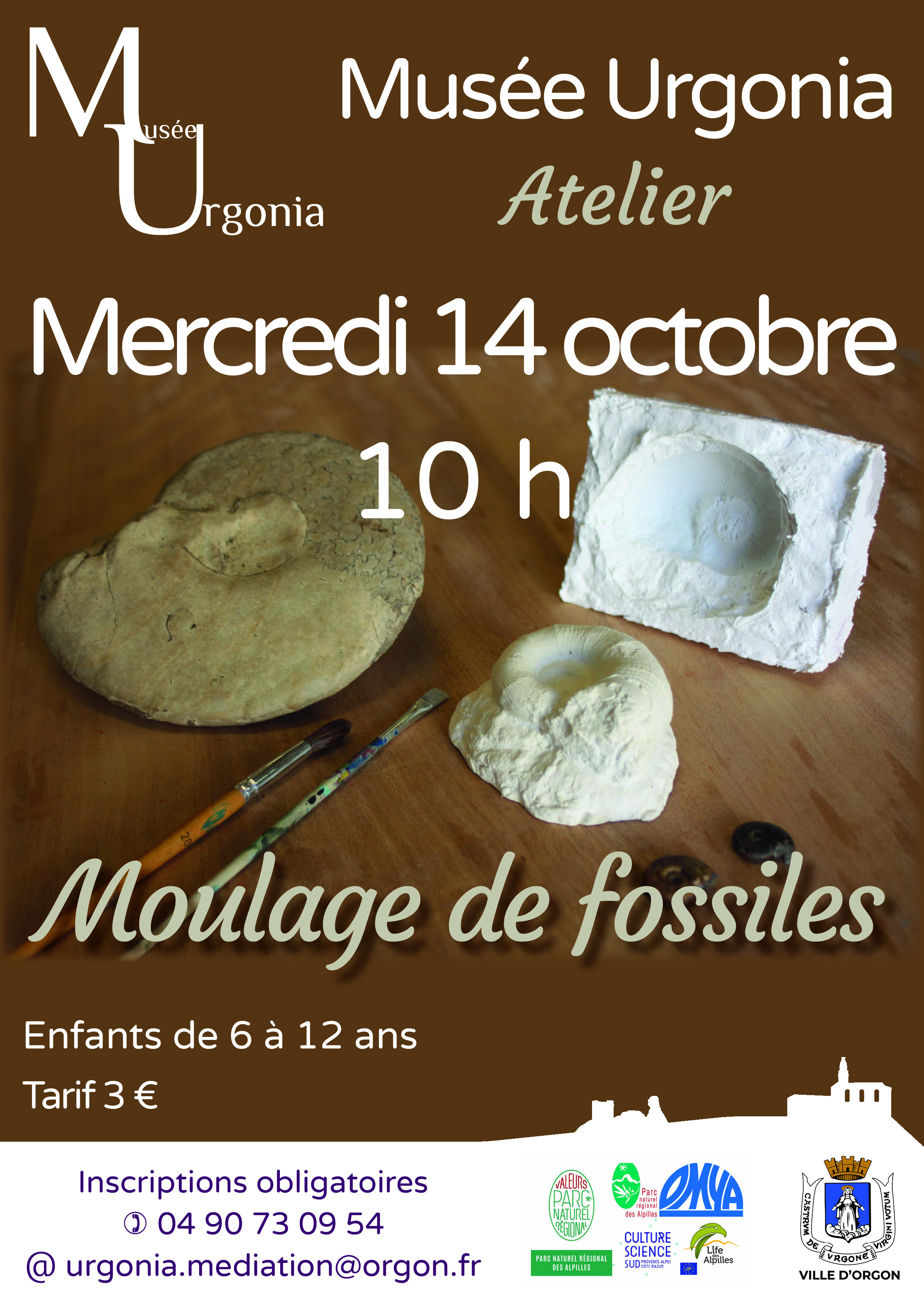 Atelier "Moulage de fossiles"