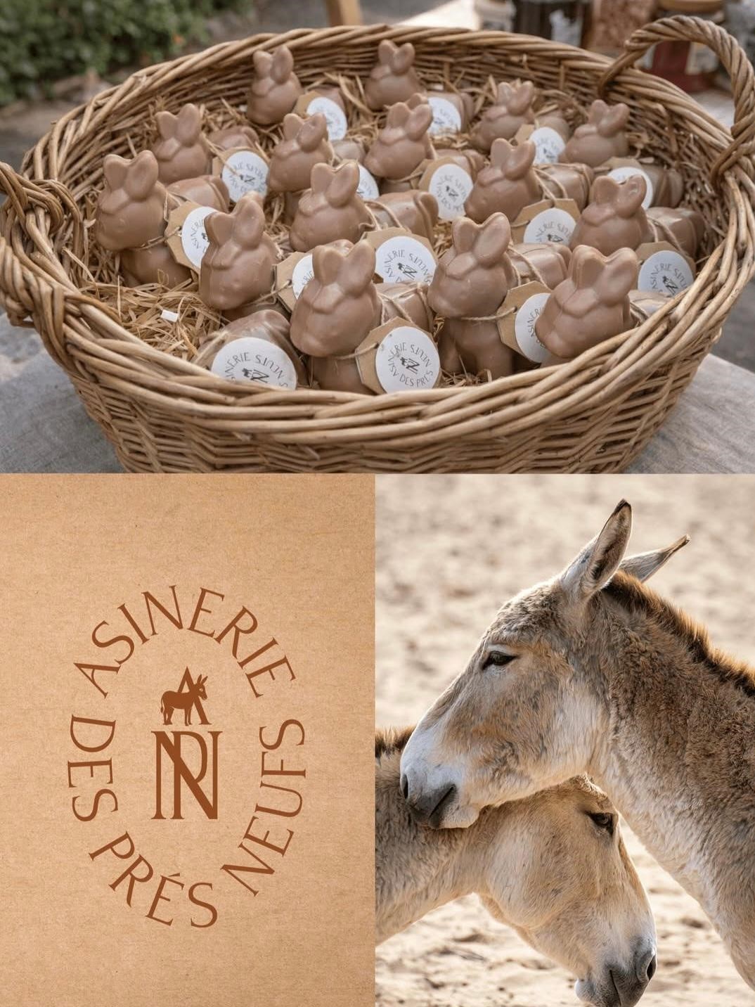 L'Asinerie des Prés Neufs