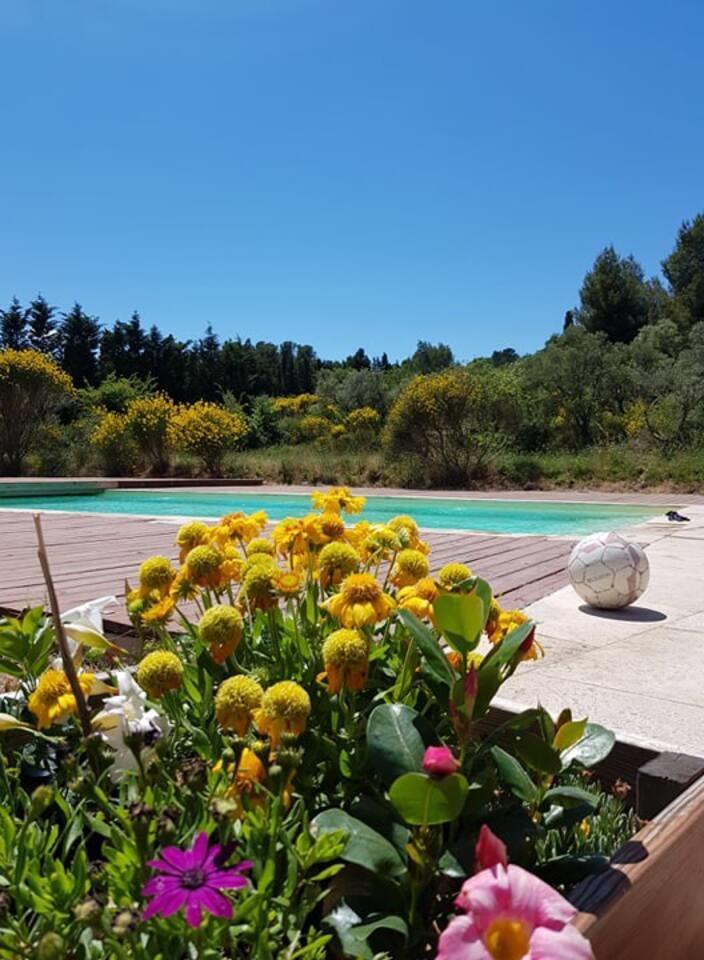 La Coccinelle d'Emilie, Noves - photo 66