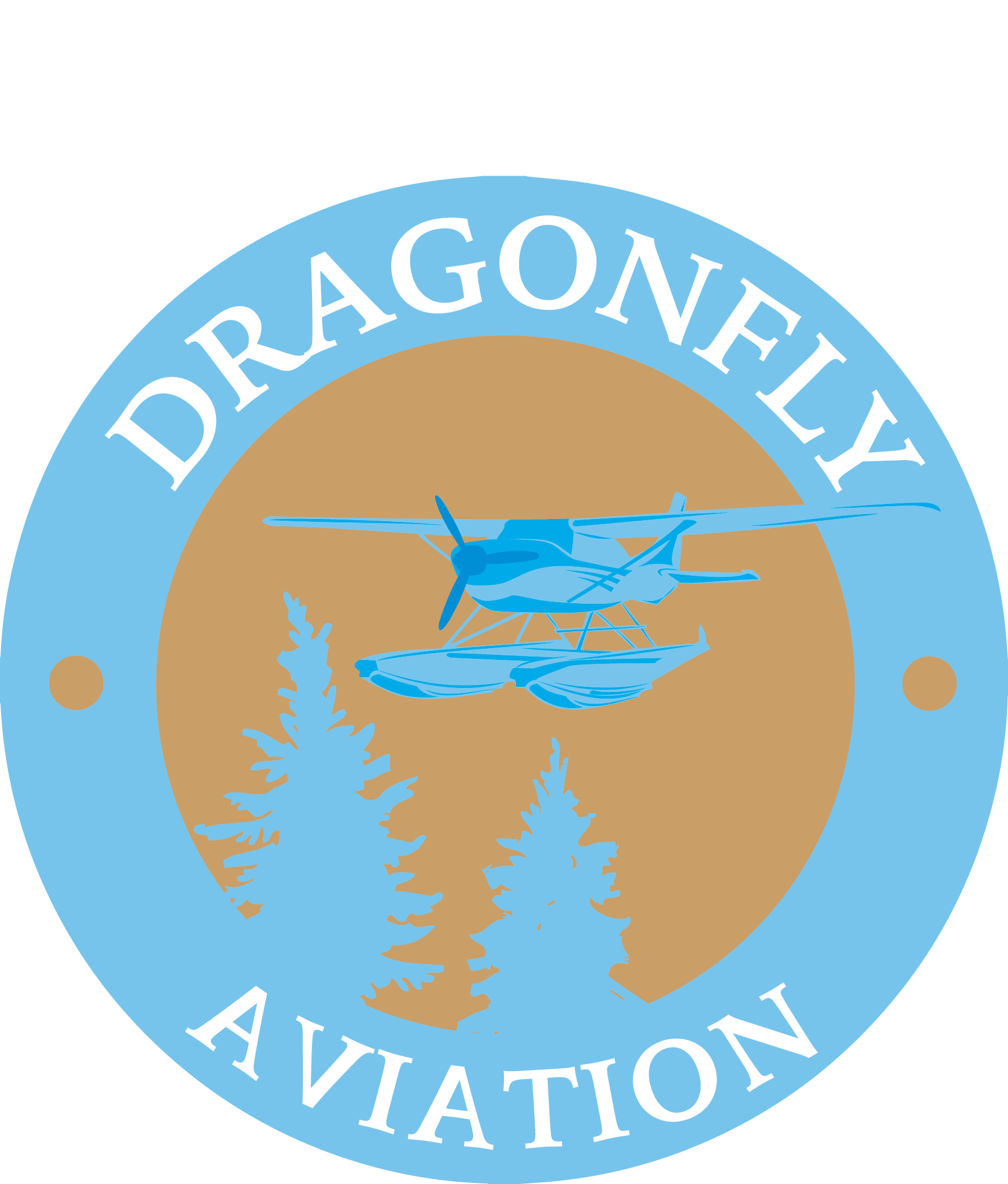 Dragonfly Aviation