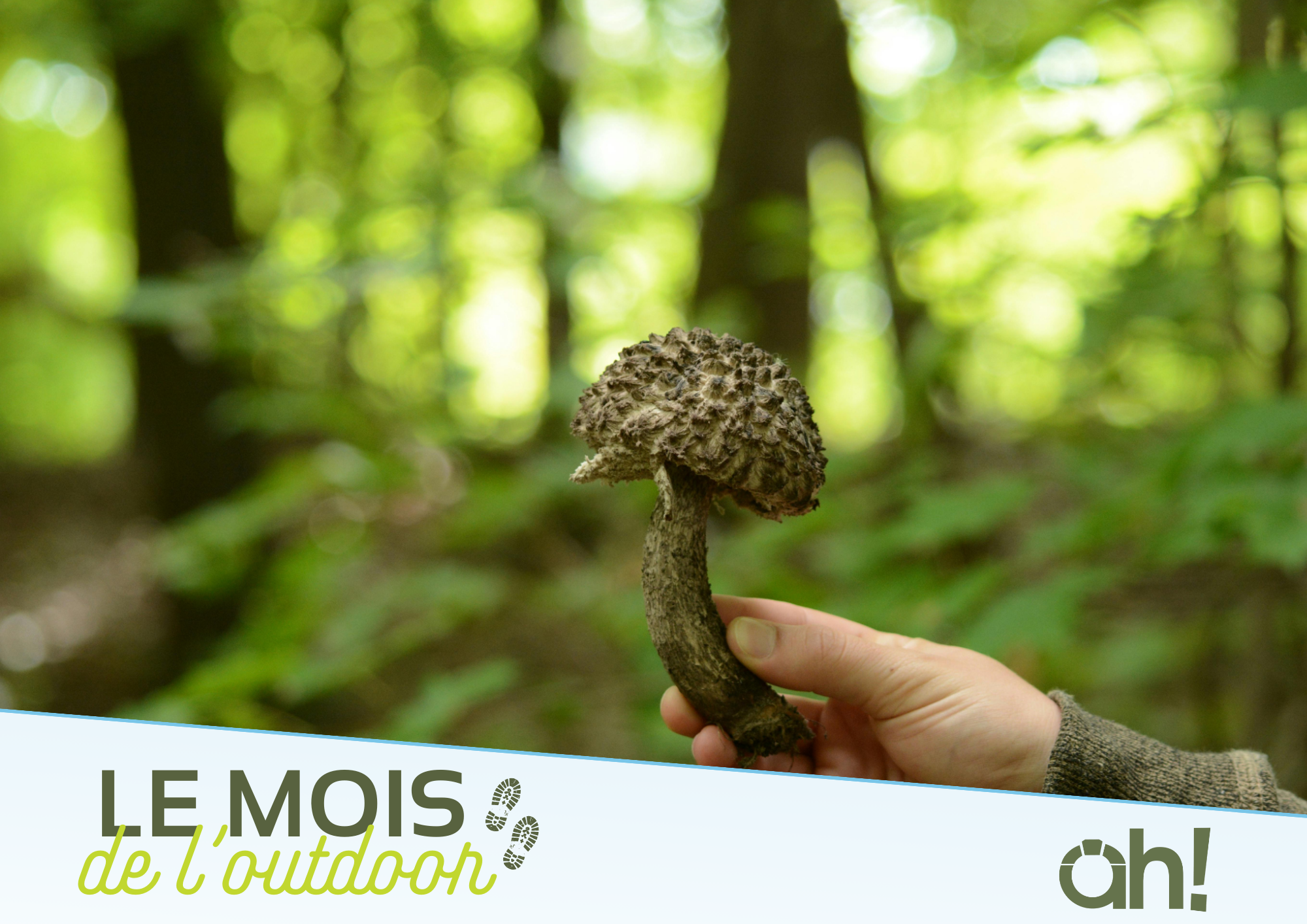 L'aventure en pleine nature : ateliers pour enfants_Colombier-le-Vieux