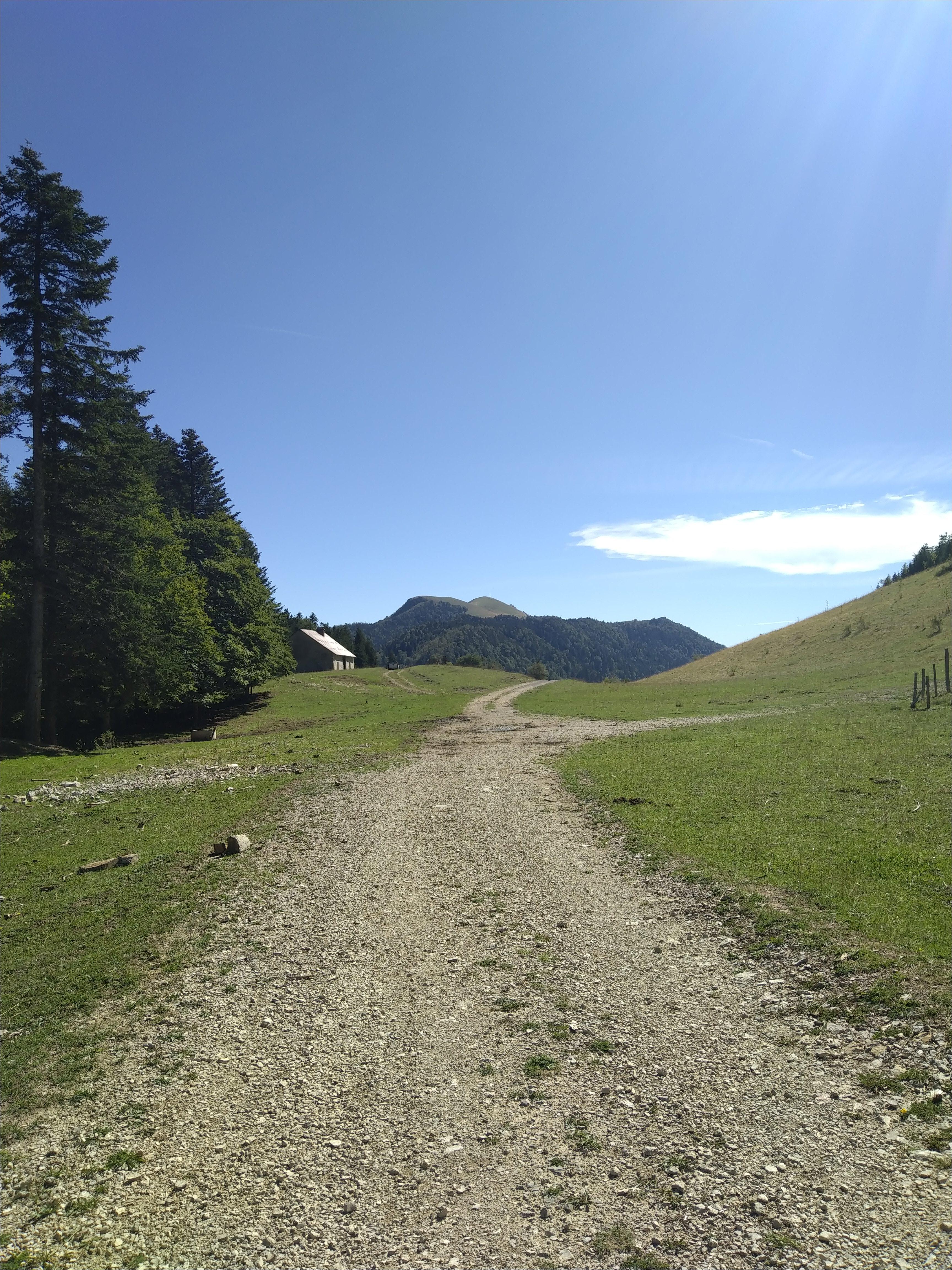 Parcours VTT 16 noir - Des Plans d'Hotonnes au Grand Colombier - Espace FFC Ain Forestire