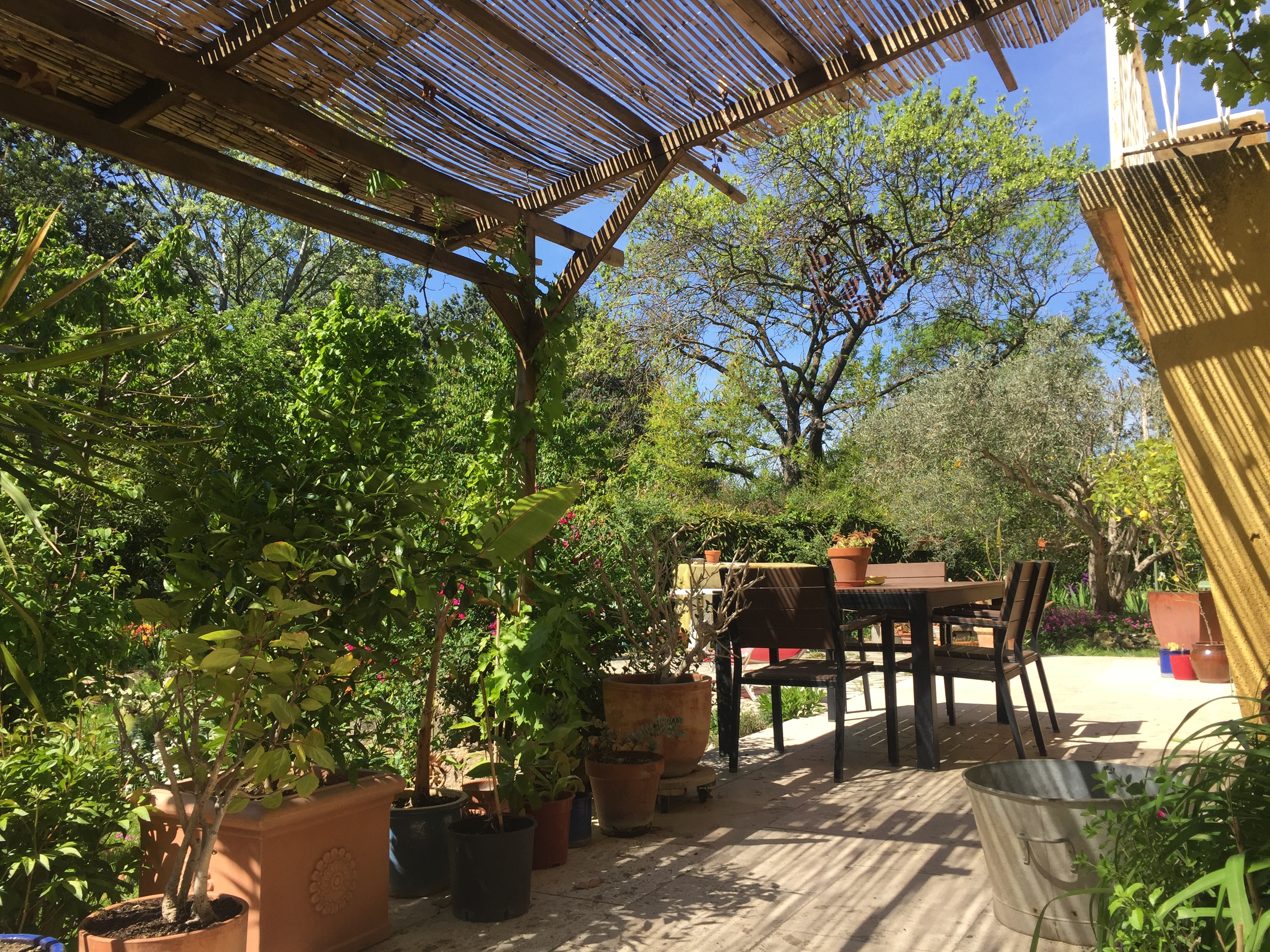 Ilot de verdure en bord de rivière, Pélissanne - photo 3