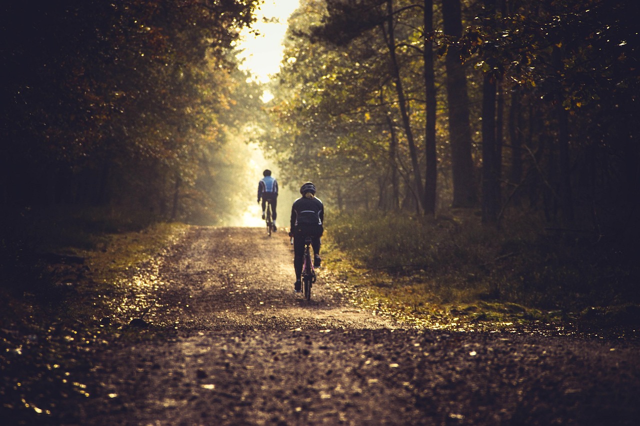 40ème Randonnée VTT et GRAVEL Chalmazel-Savigneux