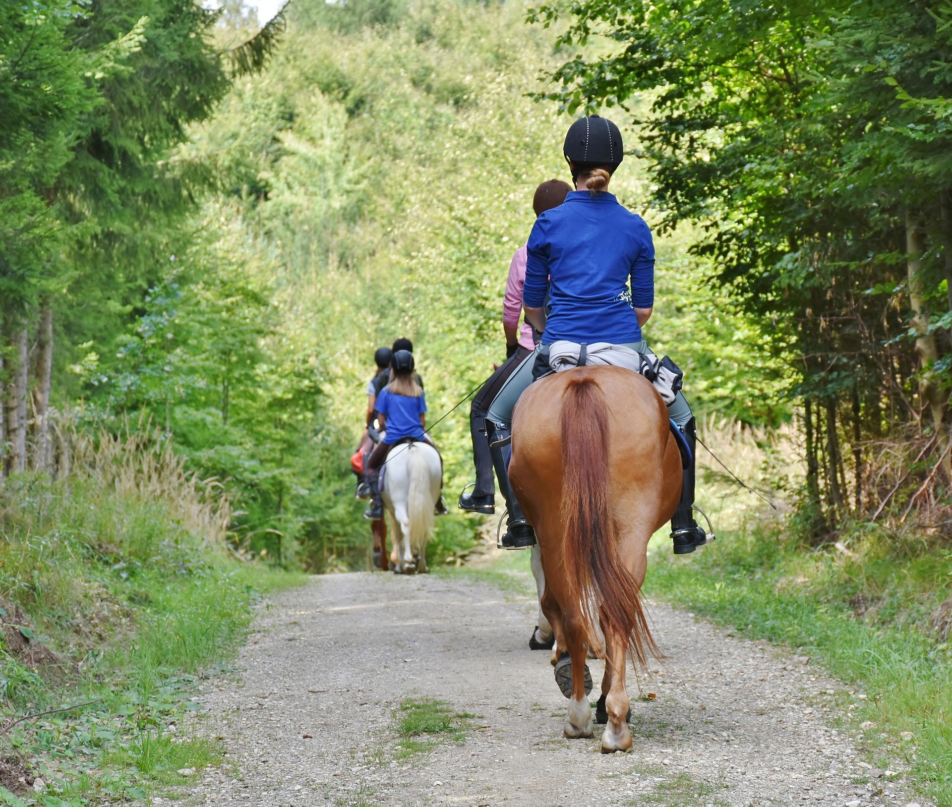 Horseback riding