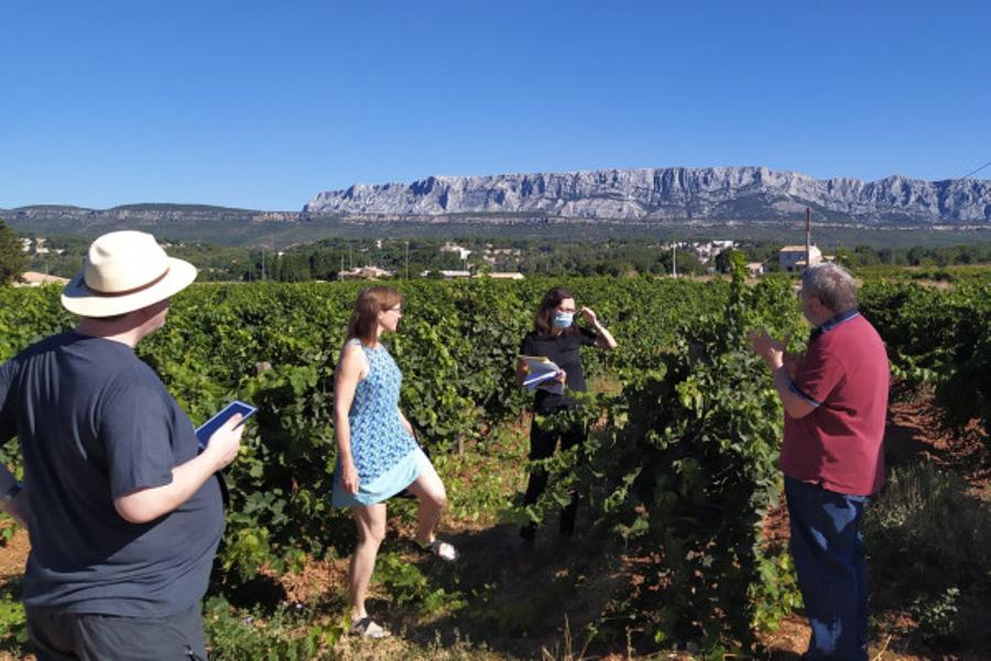 Les Vignobles au Pays de Cézanne