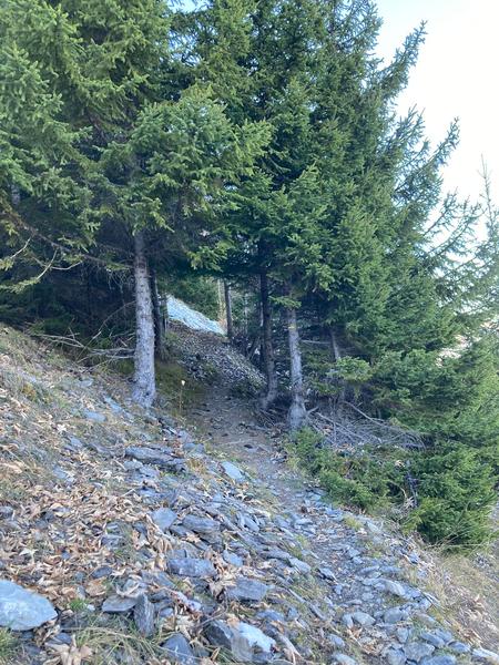 Table d'orientation randonnée depuis Villard-Notre -Dame_Villard-Notre-Dame